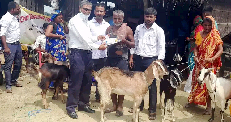 बारामा पशु चौपायकालागी सिबिर संचालन