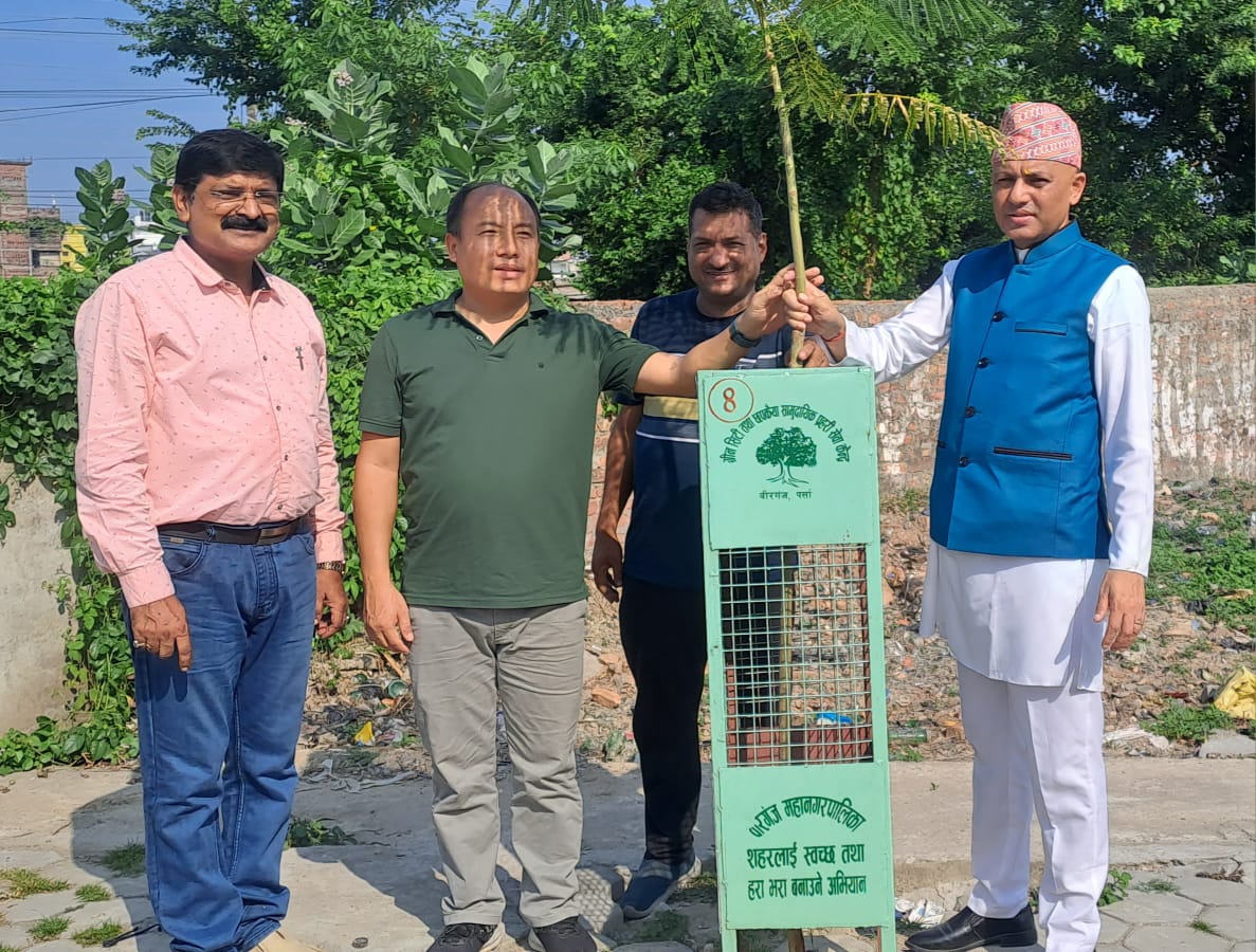 वीरगञ्ज : ग्रिन सिटी र राष्ट्रपति चुरे तराई मधेस संरक्षण विकास समितिद्वारा वृक्षारोपण
