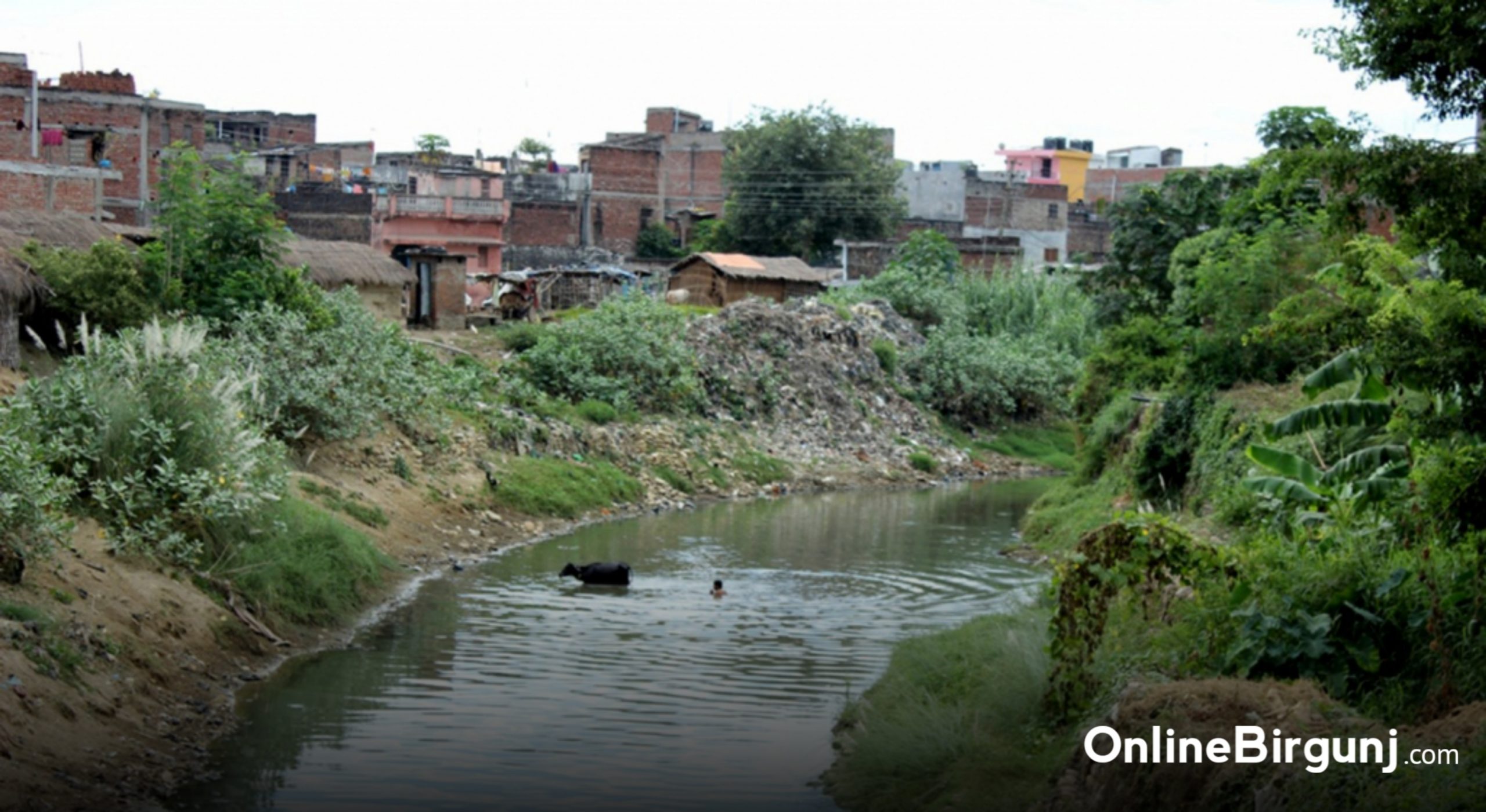 सिर्सिया नदी प्रदुषित बनाउने उद्योगहरुलाई वीरगञ्ज महानगरले फेरि दियो कारबाहीको चेतावनी 