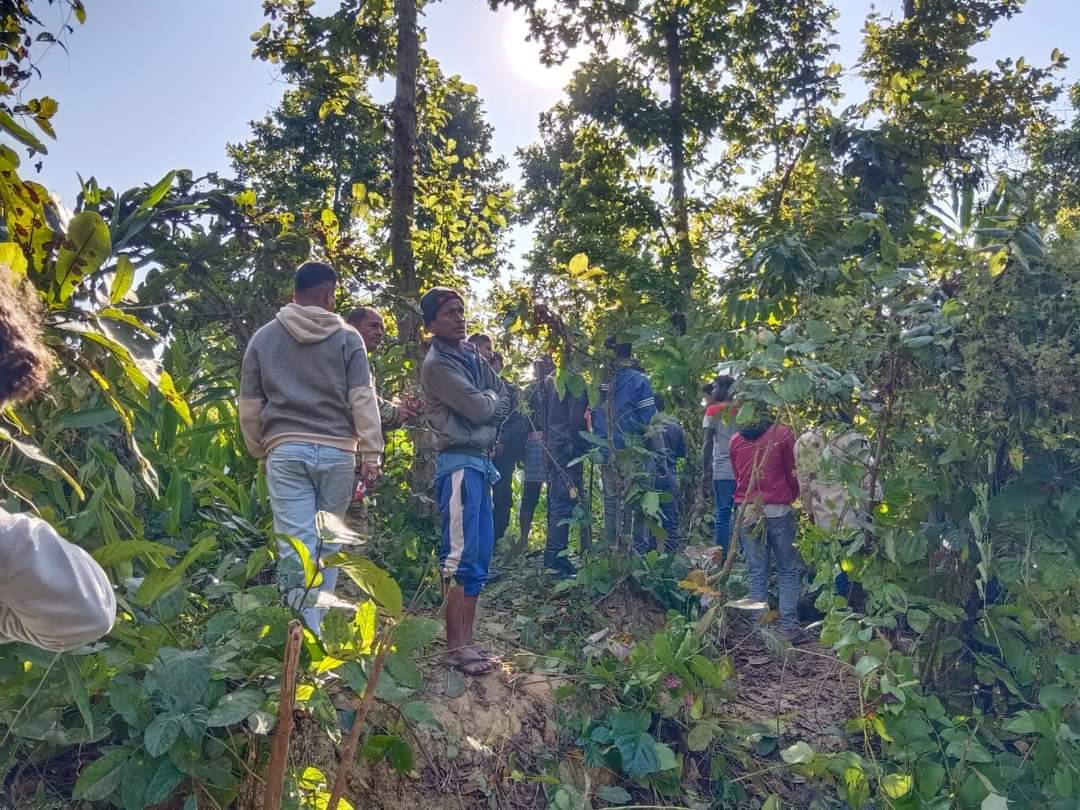 पर्सा : बाघको आक्रमणबाट एक जनाको मृत्यु