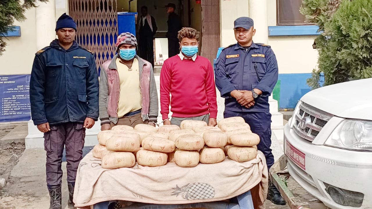 ४२ किलो गाँजाको धुलोसहित पर्साबाट २ जना पक्राउ