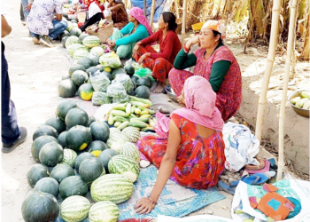 बगर खेती वाट किसानले राम्रो आम्दानी गर्दै