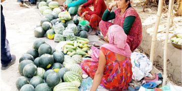 बगर खेती वाट किसानले राम्रो आम्दानी गर्दै