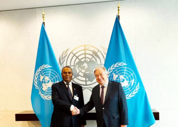 विकासका उपलब्धि जोगाउन सार्थक सहयोगका लागि उपप्रमको जोड