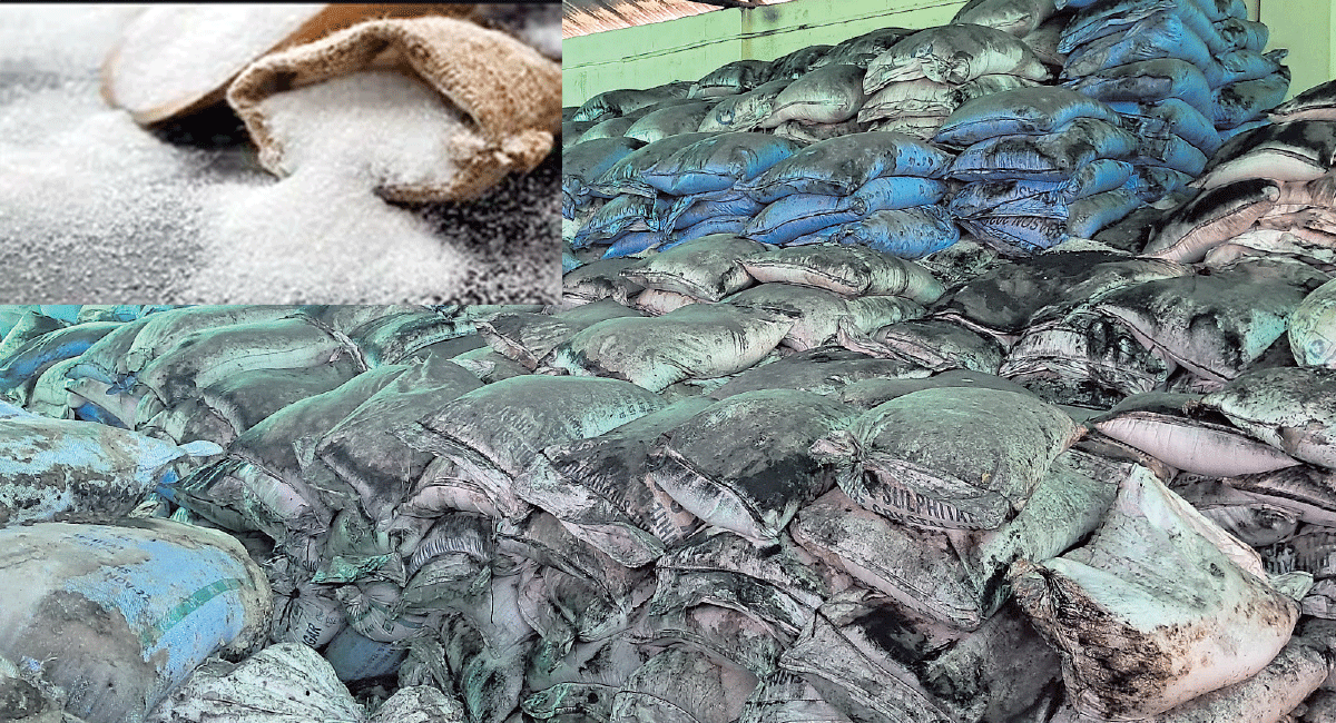 किन ! गोदाममै सड्यो करोडको चिनी