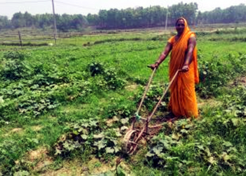 महिला तरकारी खेतीतर्फ आकर्षित