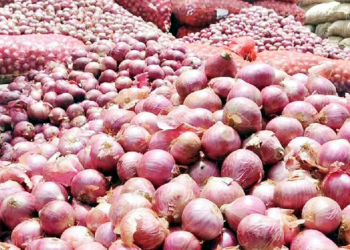 नेपालमा प्याजको भाउ सस्तो हुने , भारतले प्याज निर्यातमा लगाएको प्रतिबन्ध हटायो