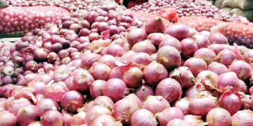 नेपालमा प्याजको भाउ सस्तो हुने , भारतले प्याज निर्यातमा लगाएको प्रतिबन्ध हटायो