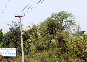 दैनिक आठ लाख घाटा , दुई महिनादेखि विद्युत उत्पादन बन्द