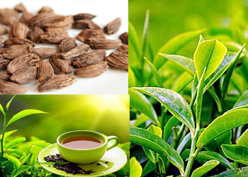 चिया निर्यातमा  ३६ प्रतिशतले  बढ्यो, अलैँची घट्यो