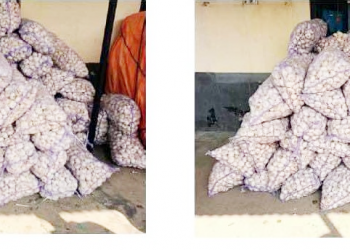 कुखुरा फर्मबाट १७८० किलोग्राम ‘चाइनिज लसुन’ बरामद