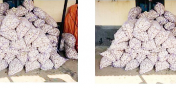 कुखुरा फर्मबाट १७८० किलोग्राम ‘चाइनिज लसुन’ बरामद