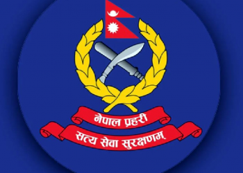 चार महिनामा ७२ प्रहरी कारबाहीमा