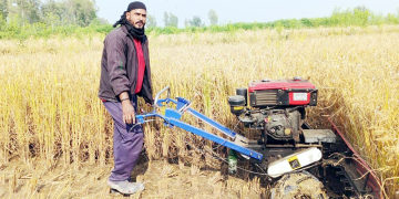 धान काट्न रिपर मेसिन उपयोगी