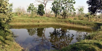 माछापालन धान लगाउने खेतमा