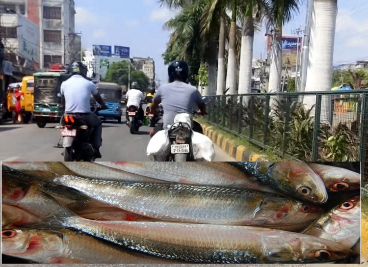 भारतबाट विषाक्त माछा भित्रिने खुलासा, प्रहरीको मिलेमतोमा तस्करी धानिँदै !