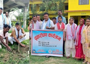 श्रीपुरको विद्यालयमा हरियाली अभियान, १२० बिरुवासँगै गुञ्जियो हरित भविष्यको सन्देश