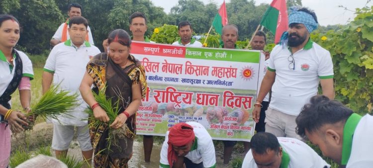 परवानीपुर गाउँपालिकामा बजेटको चरम दुरुपयोग – पार्टीको भ्रातृ संगठनलाई “धान दिवस” मनाउन सार्वजनिक रकम खर्च