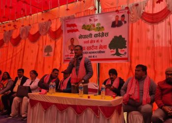 नारायणी रंगशालादेखि पोलिटेक्निकल कलेजसम्म: चौरसियाका विकास योजना