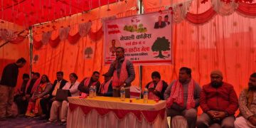 नारायणी रंगशालादेखि पोलिटेक्निकल कलेजसम्म: चौरसियाका विकास योजना