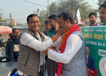 बीरगंजको मुरली गाउँ, मुरली बगैंचा र पानीटंकी टोलमा उज्यालो नेपाल पार्टीको घरदैलो कार्यक्रममा भव्य सम्मान र स्वागत