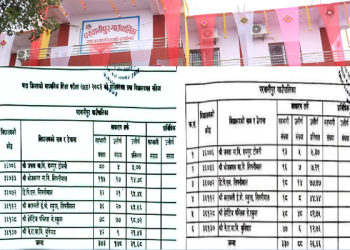 परवानीपुर गाउँपालिकाको शिक्षा संकट भयावह – २२५ विद्यार्थी एसईई मा अनुत्तीर्ण, सामुदायिक विद्यालयको लाजमर्दो नतिजा