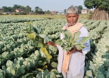भारी वर्षाले पर्साका तरकारी किसान मारमा, खेतीमा गरेको लगानी डुब्ने चिन्ता